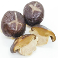 陣笠椎茸　３０個