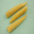 ヤングコーン味噌漬(50～60本) ５００ｇ